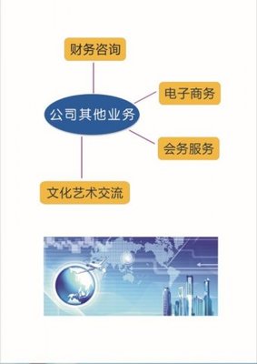 上海光謙企業管理咨詢 專業財務咨詢，賦能企業穩健發展